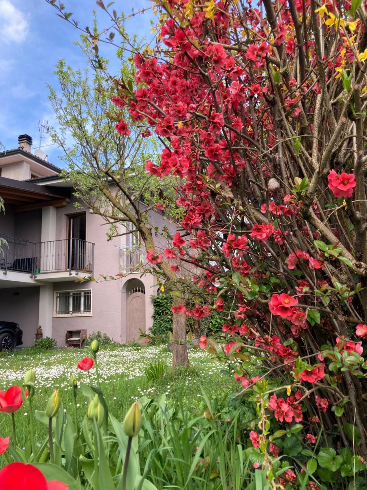 Al Clisi Graziosa Mansarda Apartment Villanuova sul clisi Bagian luar foto